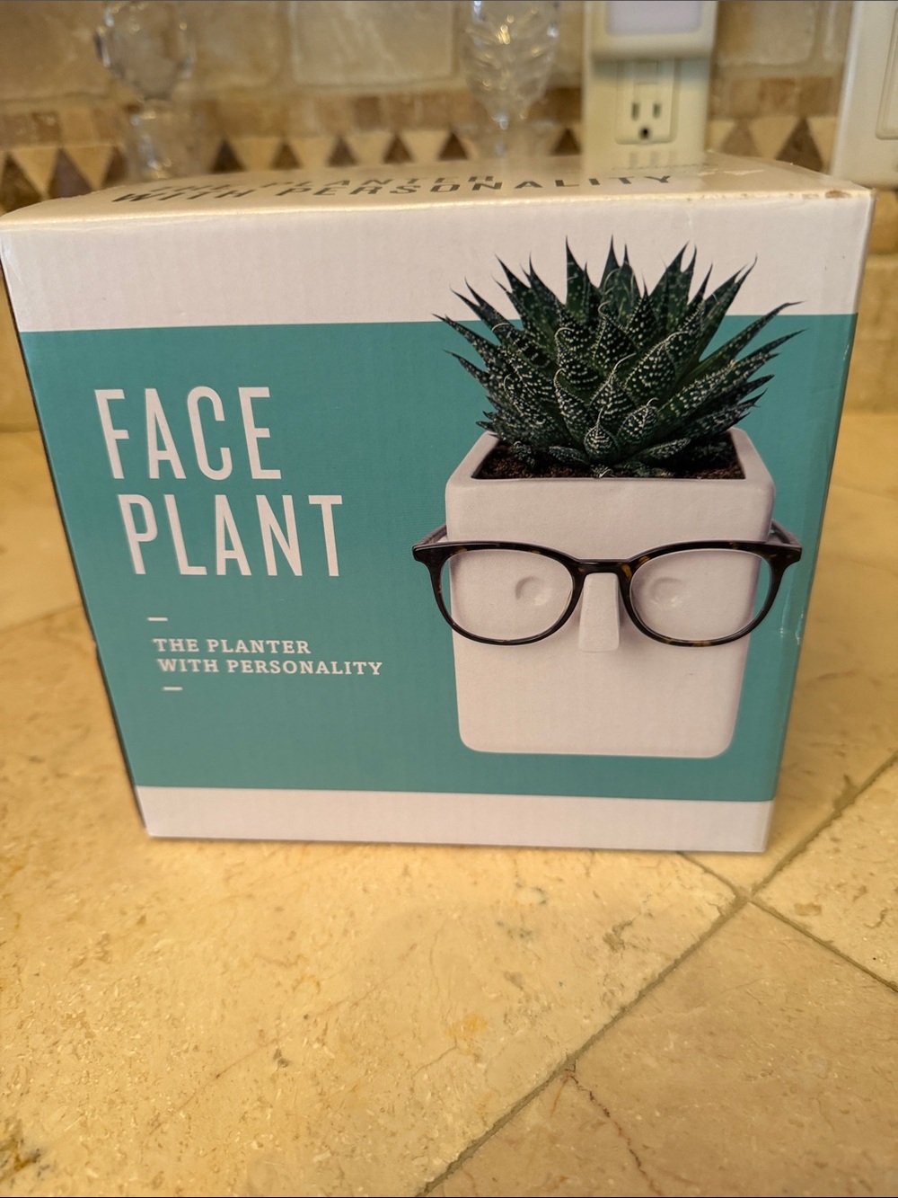 Ceramic “Face Plant” planter and eyeglasses holder. New in box.